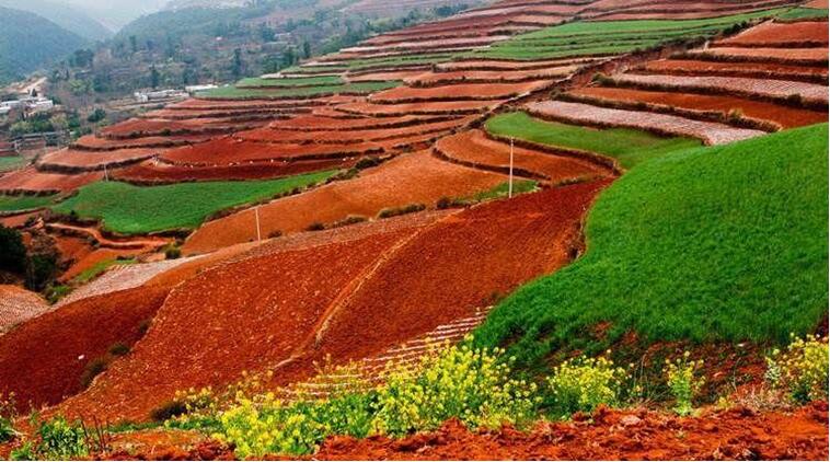 中國(guó)土壤幾病癥，該如何管理土壤？