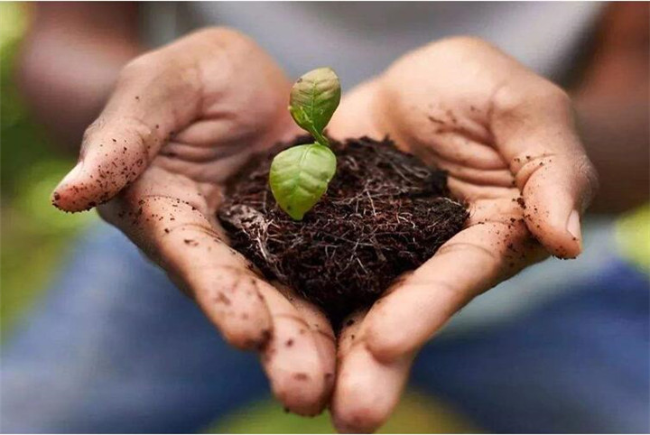 腐植酸修復(fù)土壤真那么神奇嗎？