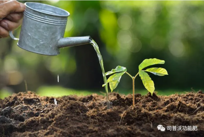 如何識(shí)別土壤酸堿性？6招讓你成為判斷高手！