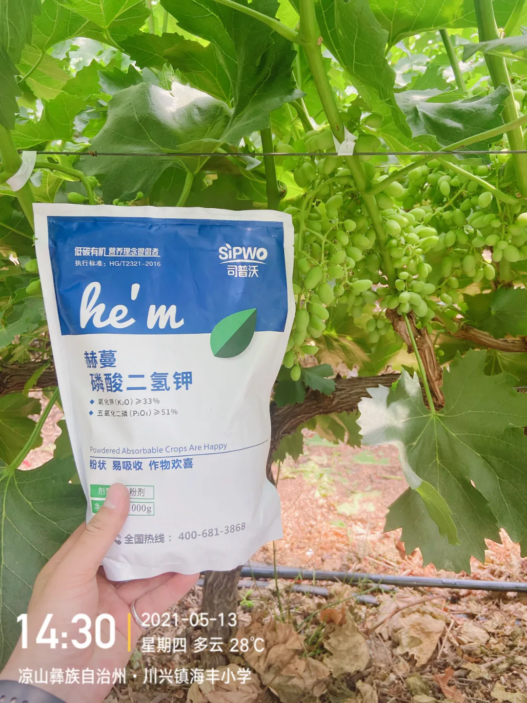 磷酸二氫鉀的辨別真假現(xiàn)場(chǎng)，99%以上是假貨！