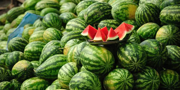 西瓜裂果怎么辦？除了水的管理還要補(bǔ)充這個(gè)!