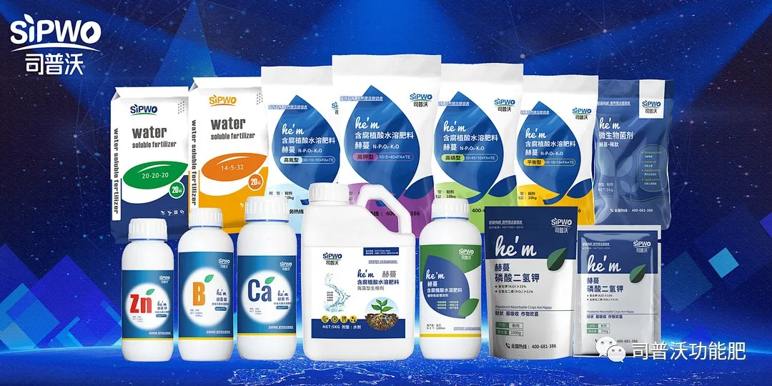 柑橘出現(xiàn)太陽(yáng)果怎么辦！如何全面防灼防裂？