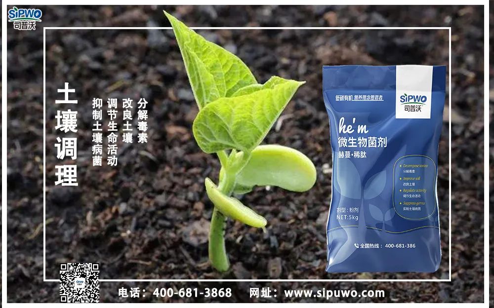 【農(nóng)技知識】土壤出問題了，肥料用再多也別想增產(chǎn)！