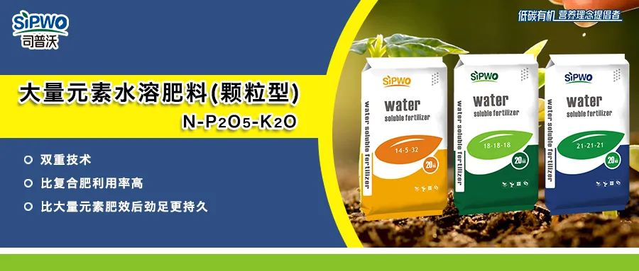 赫蔓-大量元素水溶肥料_顆粒型|肥效持久，后勁足