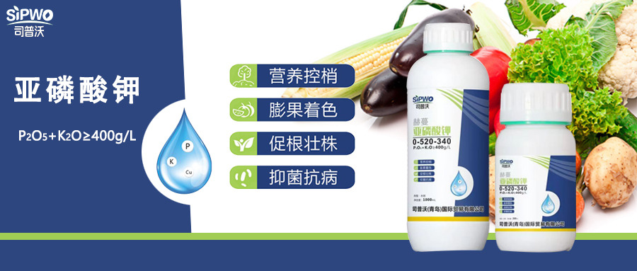 赫蔓·亞磷酸鉀|亦藥亦肥：營養(yǎng)控梢，防病抑菌用處大