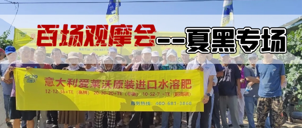 新疆博樂地區(qū)夏黑葡萄觀摩會圓滿成功，司普沃功能肥閃耀全場