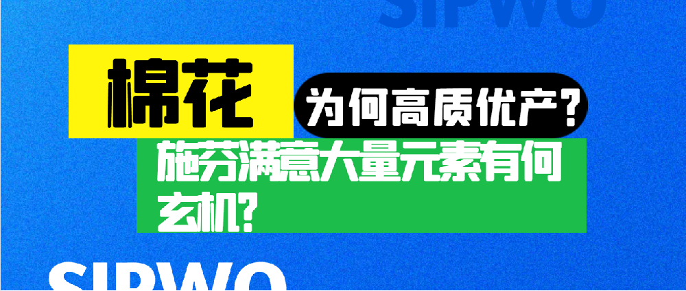 棉花憑啥高產(chǎn)優(yōu)質(zhì)？施芬滿意大量元素有何玄機？
