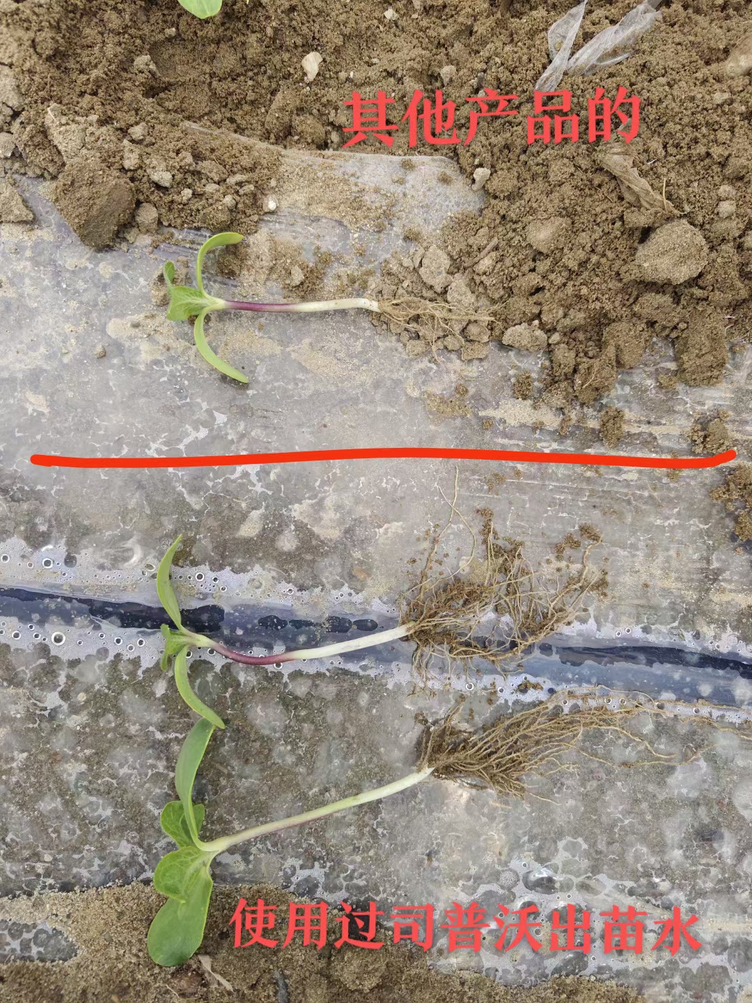 種地也有“秘密武器”？司普沃三活三抗套餐來揭秘！